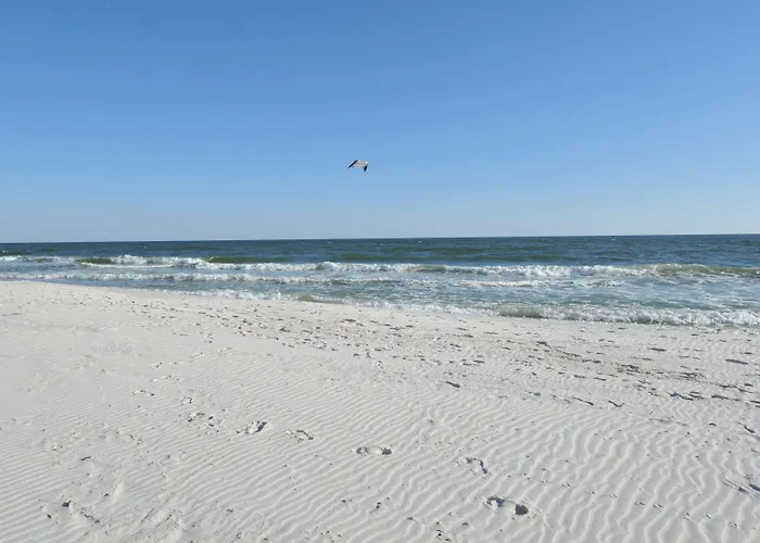 San Carlos By Wyndham Vacation Gulf Shores